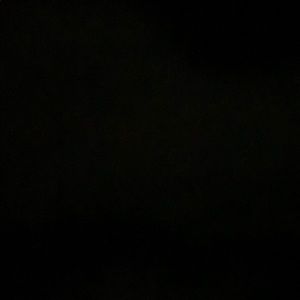 Meet your Posher, Brendan